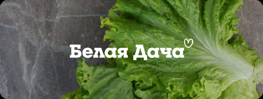 Белая Дача